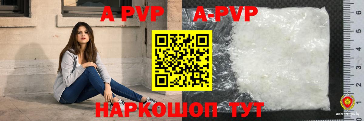 Альфа ПВП СК КРИС Семилуки