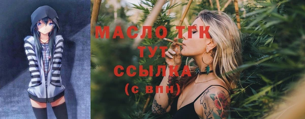 МДПВ Няндома