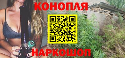 крисы Заводоуковск