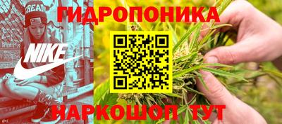 крисы Заводоуковск