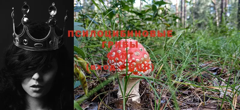 мега ONION  Семилуки  Галлюциногенные грибы MAGIC MUSHROOMS 