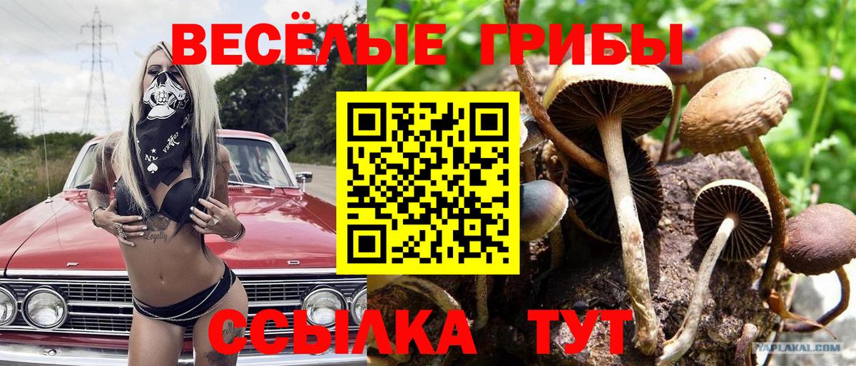 Галлюциногенные грибы GOLDEN TEACHER  Вход с VPN  Семилуки 