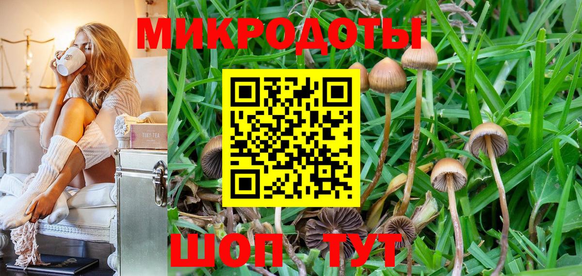 Псилоцибиновые грибы прущие грибы Семилуки